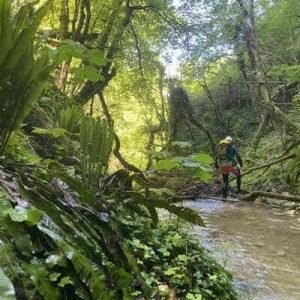 Canyon & biodiversité les Carmes